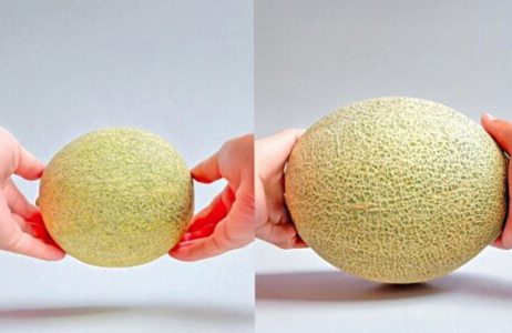 釘付けになる「萌え断面」スイーツ！ SNSで話題の超巨大まるごとメロンショート