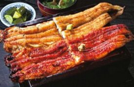 東京のうなぎ名店12選 気軽に入れる店から特別な日の老舗まで編集部が厳選紹介