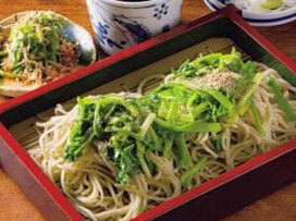 【本駒込】昭和7年創業の老舗蕎麦屋！3代目が自家製粉でつくるこだわり蕎麦は醤油のコクとだしの効いたつゆが堪らない